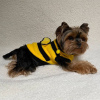 Photo №1. yorkshire terrier - for sale in the city of St. Petersburg | negotiated | Announcement № 42816