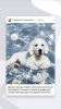 Photo №1. golden retriever - for sale in the city of Magnitogorsk | negotiated | Announcement № 7028