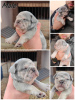 Photo №1. french bulldog - for sale in the city of Zrenjanin | negotiated | Announcement № 78132