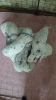 Photo №1. dalmatian dog - for sale in the city of Novokuznetsk | 65$ | Announcement № 52175