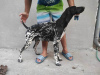 Photo №4. I will sell german shorthaired pointer in the city of Lapovo.  - price - negotiated