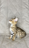Photo №1. savannah cat - for sale in the city of Москва | 8969$ | Announcement № 26094