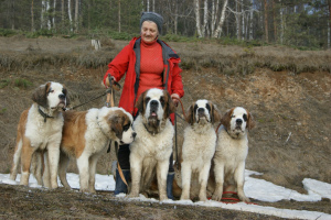 Photo №4. I will sell st. bernard in the city of Satka. private announcement, breeder - price - 485$