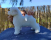 Photo №1. bichon frise - for sale in the city of Belgrade | negotiated | Announcement № 97131