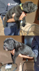 Additional photos: Cane Corso puppies for sale