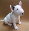 Photo №1. bull terrier - for sale in the city of Berlin | negotiated | Announcement № 97851