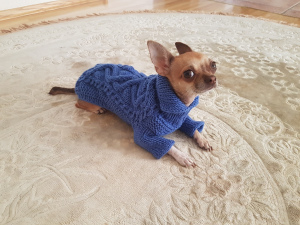 Photo №1. Sweater for dogs (cat) ORDER in the city of Minsk. Price - 12$. Announcement № 5001
