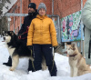 Photo №4. I will sell siberian husky in the city of Иваново. private announcement - price - negotiated