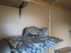 Photo №1. savannah cat - for sale in the city of Yaroslavl | 2700$ | Announcement № 15690