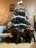 Photo №1. labrador retriever - for sale in the city of Belgrade | negotiated | Announcement № 127088