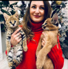 Additional photos: serval , savannah and caracal kittens available for loving homes