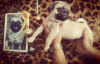 Additional photos: Selling pug puppies with UKF club documents from the Champion of Ukraine