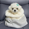 Photo №1. maltese dog - for sale in the city of Perth | negotiated | Announcement № 24813