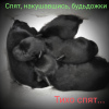 Photo №3. Black Miniature Schnauzer puppies. Ukraine