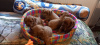 Additional photos: Cavapoo pappy f1 generation