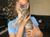 Photo №1. savannah cat - for sale in the city of Liahona | negotiated | Announcement № 10010