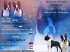 Photo №1. boston terrier - for sale in the city of Belgrade | negotiated | Announcement № 73359