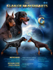 Photo №1. dobermann - for sale in the city of Khmelnitsky | 1500$ | Announcement № 30114