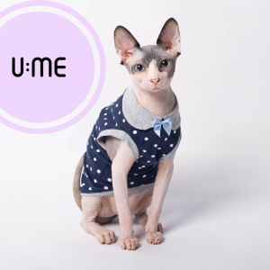 Additional photos: Clothes for cats and cats