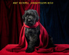 Photo №2 to announcement № 7599 for the sale of black russian terrier - buy in Ukraine from nursery, breeder