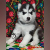 Photo №2 to announcement № 8145 for the sale of siberian husky - buy in Russian Federation from nursery