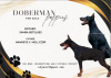 Photo №1. dobermann - for sale in the city of Temerin | negotiated | Announcement № 112496