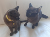 Photo №2 to announcement № 40415 for the sale of burmese cat - buy in Netherlands breeder