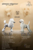 Photo №2 to announcement № 117302 for the sale of poodle (toy) - buy in Serbia 