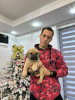 Photo №4. I will sell perro de presa canario in the city of Нови Сад. breeder - price - negotiated