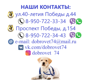 Photo №4. Veterinarian in Russian Federation. Announcement № 5821
