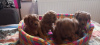 Photo №3. Cavapoo pappy f1 generation. Serbia