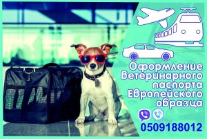 Photo №1. Veterinarian Services in the city of Kharkov. Price - Negotiated. Announcement № 5053