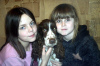 Photo №2 to announcement № 9540 for the sale of russian spaniel - buy in Russian Federation from the shelter