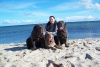 Photo №2 to announcement № 15814 for the sale of neapolitan mastiff - buy in Poland breeder