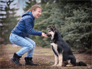 Photo №3. East European Shepherd Dog Puppy. Russian Federation