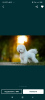 Additional photos: Bichon Frize puppies FCI documents