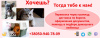 Photo №2. Services for the delivery and transportation of cats and dogs in Ukraine. Price - negotiated. Announcement № 8905