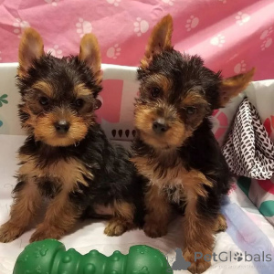 Photo №1.  - for sale in the city of Barcelona | 774$ | Announcement № 163120