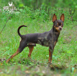 Photo №3. That boy. Belarus