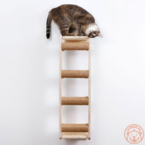 Photo №4. A very durable and comfortable wall cat ladder The path to excellence in Russian Federation. Announcement № 5282