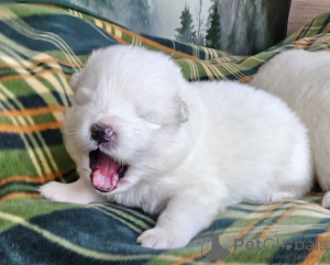 Photo №3. Jacek Widlarz. Poland