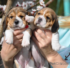 Photo №1.  - for sale in the city of Augsburg | negotiated | Announcement № 161257