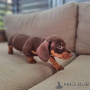 Photo №4. I will sell  in the city of Barrie.  - price - Is free