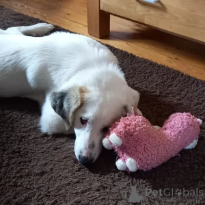 Photo №1.  - for sale in the city of Berlin | negotiated | Announcement № 166540