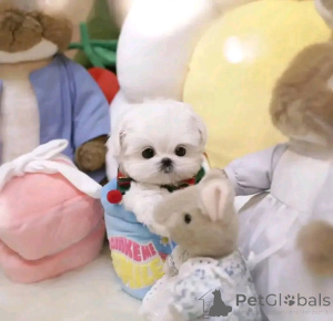 Photo №1.  - for sale in the city of Calgary | negotiated | Announcement № 161935