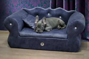 Photo №1. Sofa for pet in the city of Minsk. Price - 55$. Announcement № 1244