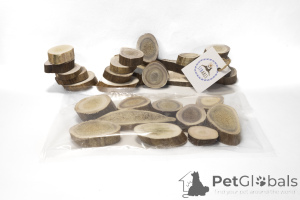 Photo №3. Cungal dimensional horn of the northern deer and moose. Russian Federation