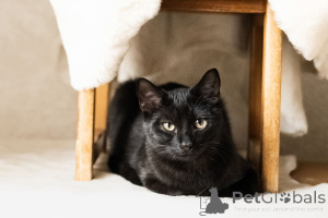 Photo №3. Cosmic Moon. Belarus