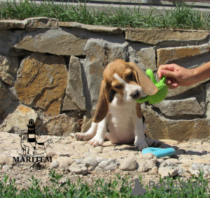 Photo №3. Biglyusha girl in the nursery!. Ukraine