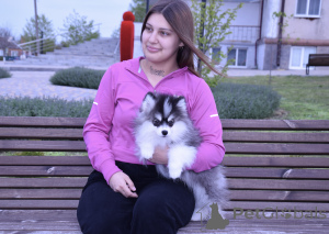 Photo №1.  - for sale in the city of Krasnodar | 3613$ | Announcement № 146696